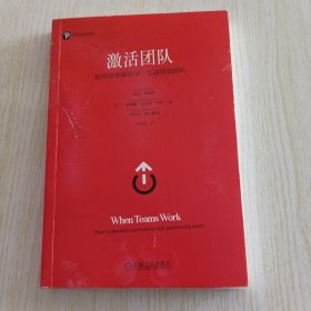 激活团队：如何培养和领导一支高绩效 ［英］迈克·布伦特团队