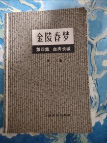 金陵春梦 第四集