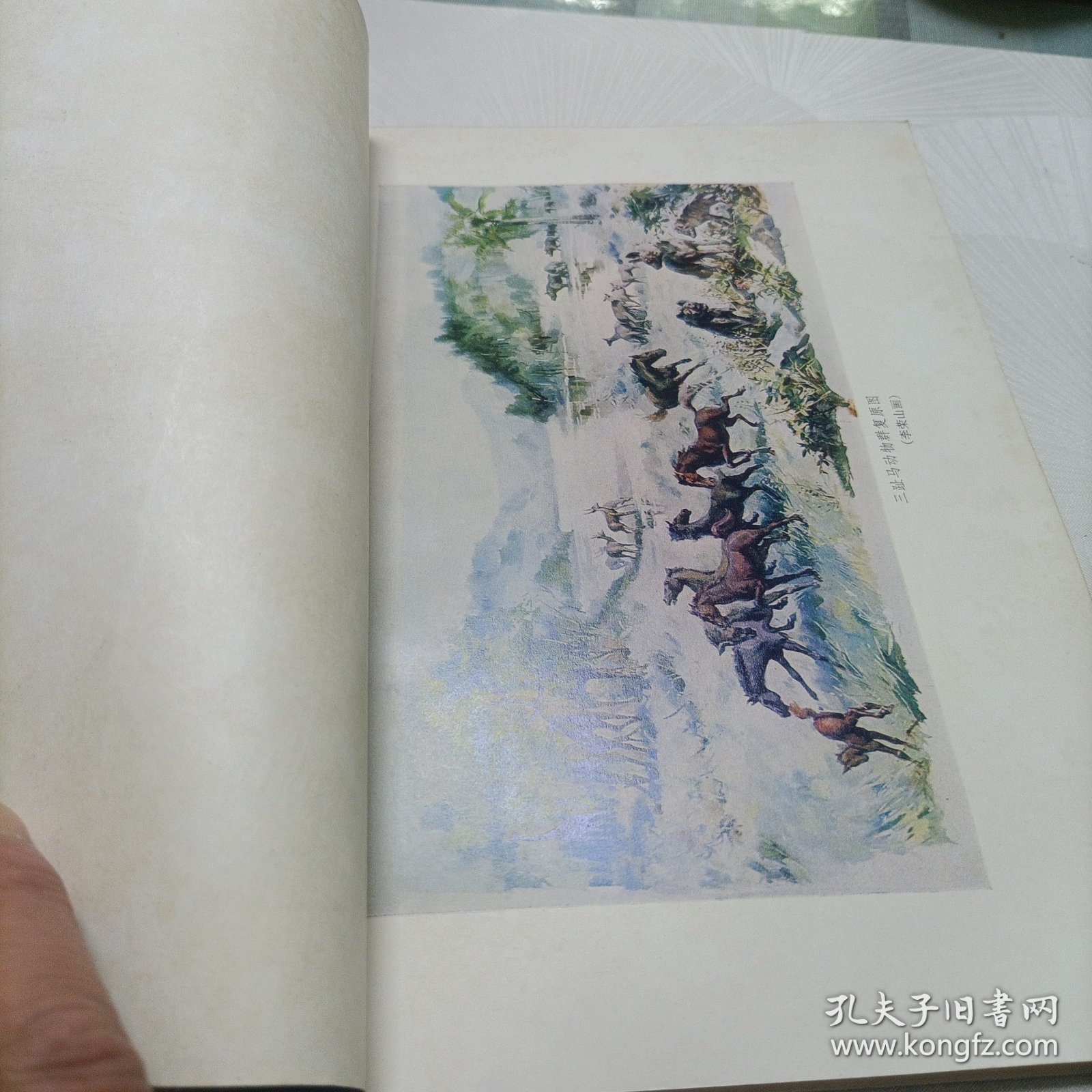 点击查看原图 青藏高原科学考察丛书——西藏古生物【第一、三分册】