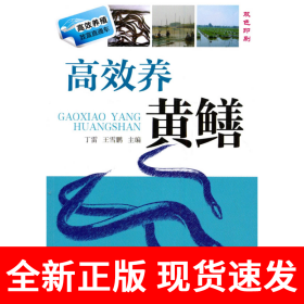 高效养黄鳝