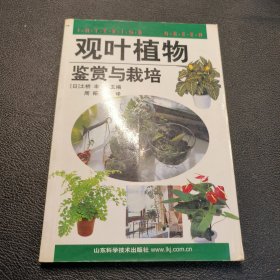 观叶植物鉴赏与栽培