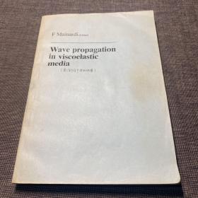 Wave propagation in viscoelastic media【英文版：粘弹性介质中的波传播】16开