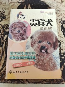 宠尚生活系列：贵宾犬（泰迪熊）