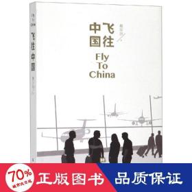 飞往中国 中国现当代文学 詹东新