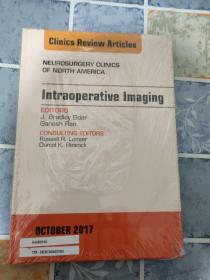 neurosurgery clinics of north america intraoperative  lmaging