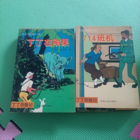 青海版《丁丁历险记》10本合售 外国漫画丛书