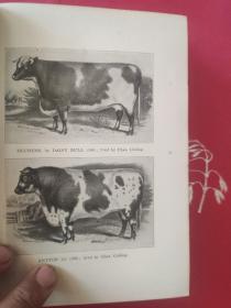 Short-Horn Cattle【民国国立东南大学（1920-1927）馆藏书。孟芳图书馆藏书票一枚】穆藕初捐赠铃印本