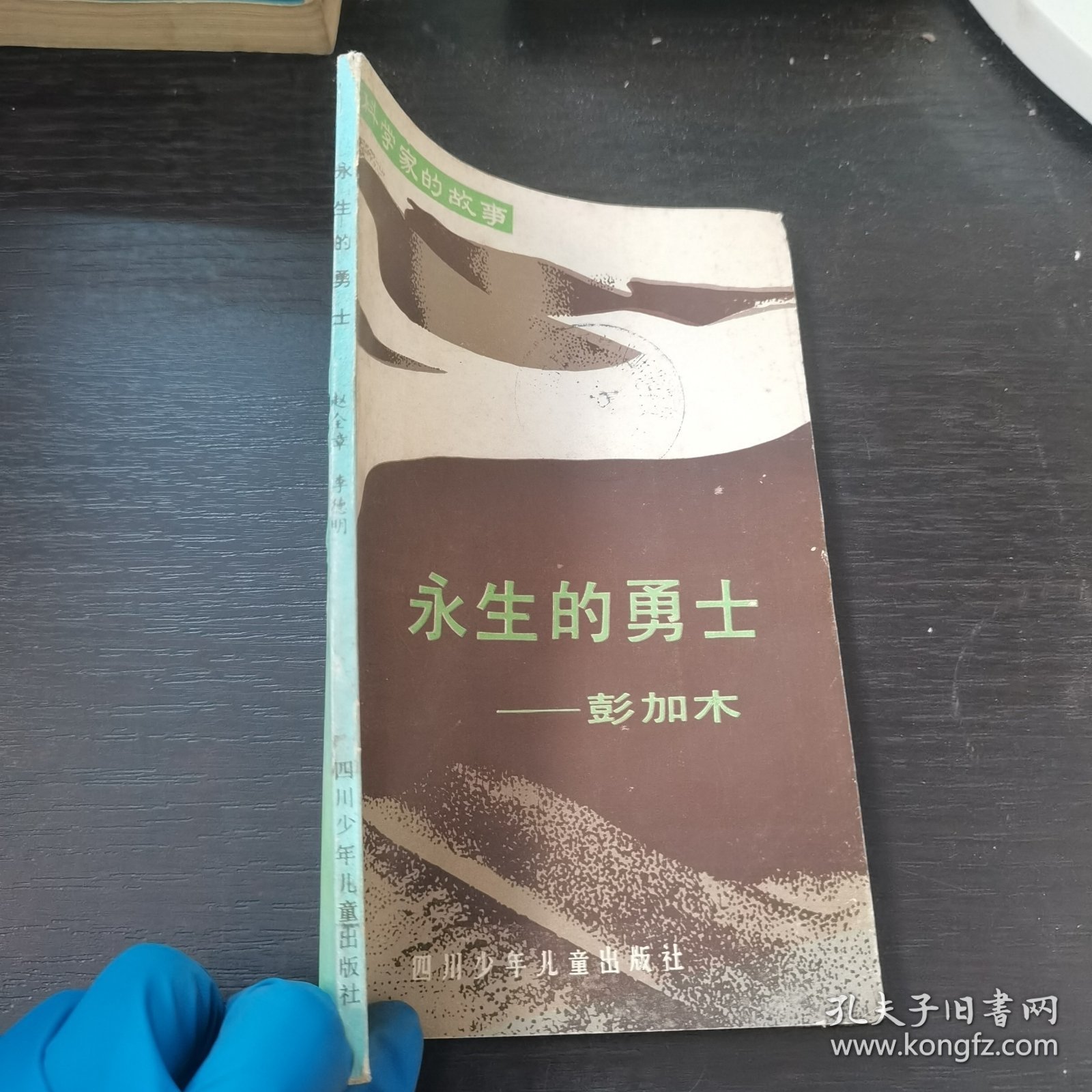 永生的勇士一彭加木