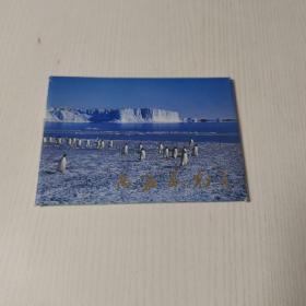 南极风光明信片（存7张）
