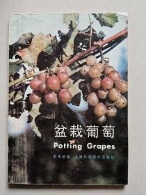 盆栽葡萄（上海科学技术出版社）