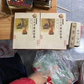 全宋词典故辞典