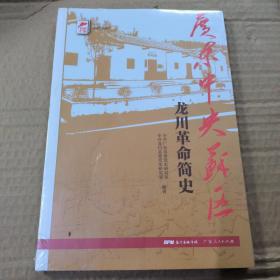 广东中央苏区龙川革命简史