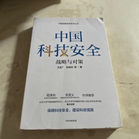 中国科技安全：战略与对策