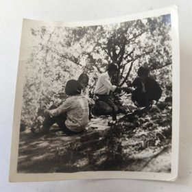 一群男女在树下合影留念照片