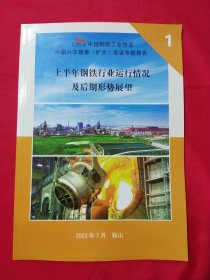 中国钢铁工业协会六届六次理事 （扩大）会议专题报告1上半年钢铁行业运行情况及后期形势展望