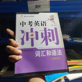 智立方中学系列·中考英语冲刺：词汇和语法（第二版，含语音）