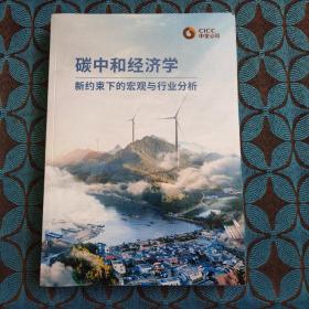 碳中和经济学新约束下的宏观与行业分析 2021