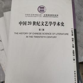 中国20世纪文艺学学术史
