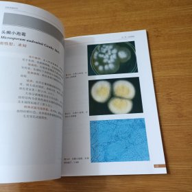 皮肤真菌病学：皮肤科医师实验室实用诊断手册