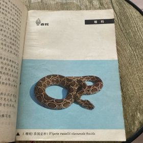 中国的毒蛇及蛇伤防治