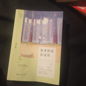 原来你还在这里：插图纪念版
