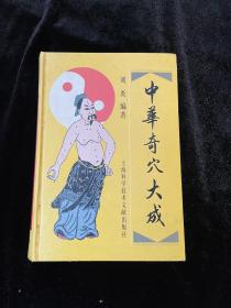 中华奇穴大成