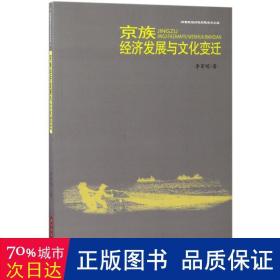 京族经济发展与变迁 经济理论、法规 李军明