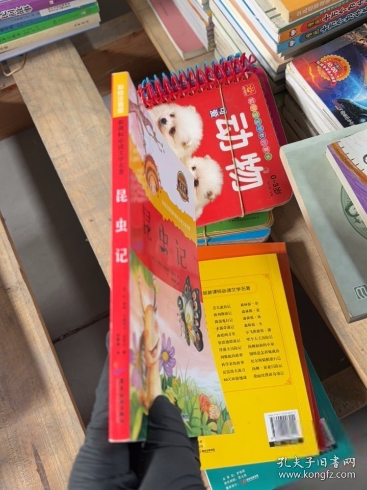 点击查看原图 昆虫记(法)让·亨利·卡西米尔·法布尔 著;胡媛媛 编9787557005870