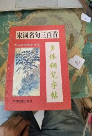 宋词名句三百首多体钢笔字帖