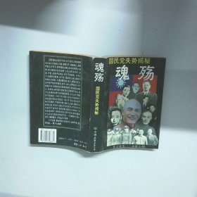 魂殇 国民党失势揭秘