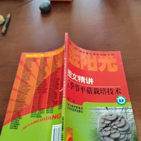 图文精讲反季节平菇栽培技术