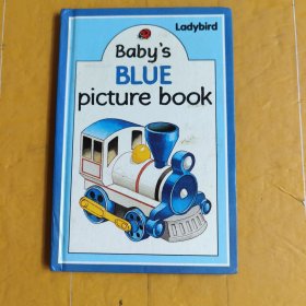 Baby’s Blue Picture Book