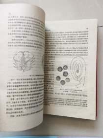 中国棉花栽培学