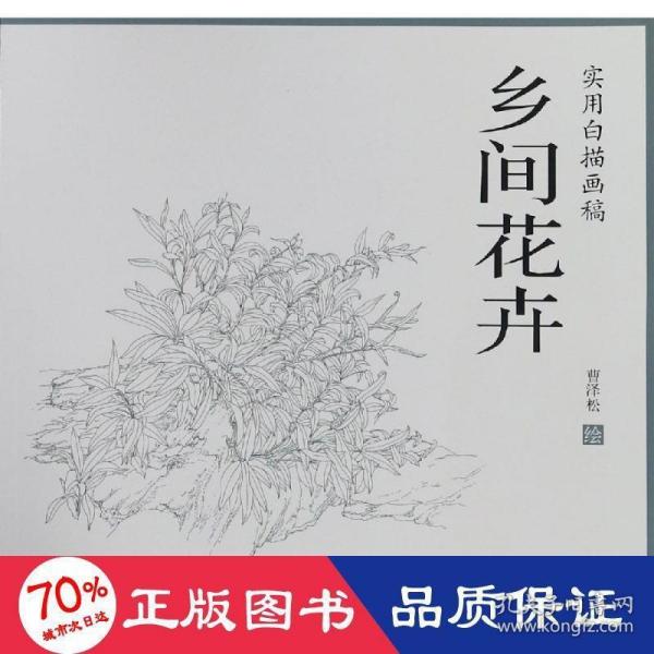 乡间花卉/实用白描画稿