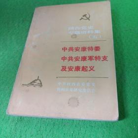 中共安康特委中共安康军特支及安康起义