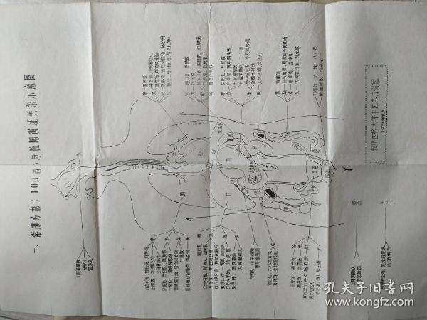 常用方剂100首与脏腑辨证关系图