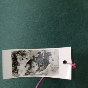 小猫书签