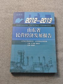 山东省民营经济发展报告（20122013）