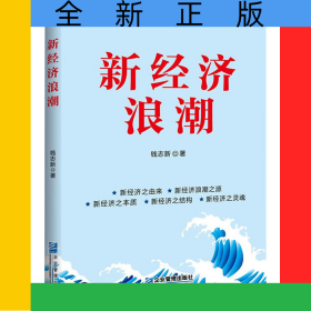 新经济浪潮