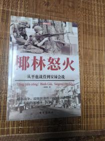 椰林怒火：从平也战役到安禄会战