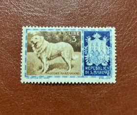 1956年圣马力诺发行邮票1枚 狗 (1956) 马雷马牧羊犬 (Canis lupus familiaris)