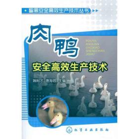 肉鸭安全高效生产技术/畜禽安全高效生产技术丛书 养殖 魏刚才//唐海蓉