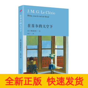 在首尔的天空下（诺贝尔文学奖获奖者勒克莱齐奥探索首尔的人情故事，这里有贫困也有病痛，但文学给人安慰）