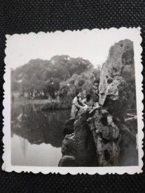 1980年代《老照片》山上三朵花