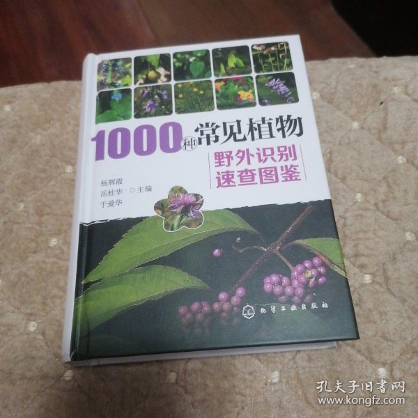 1000种常见植物野外识别速查图鉴