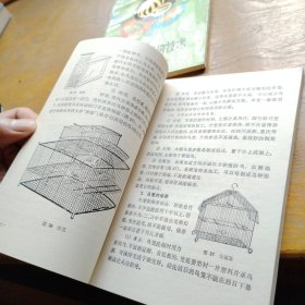 观赏鸟的饲育