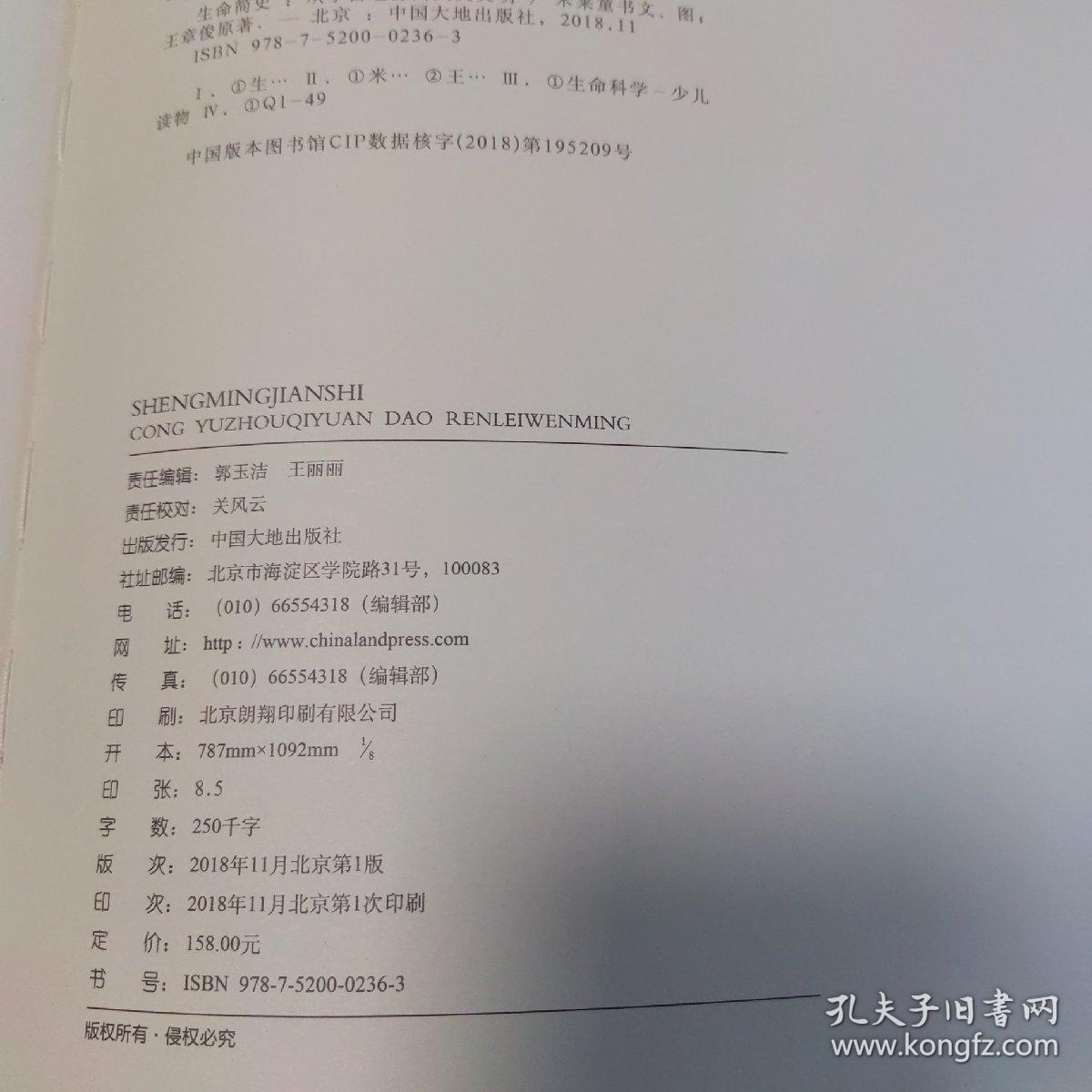 生命简史：从宇宙起源到人类文明