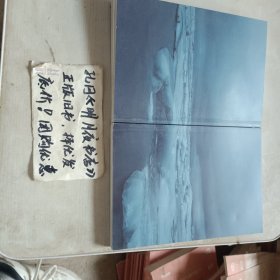有生之年