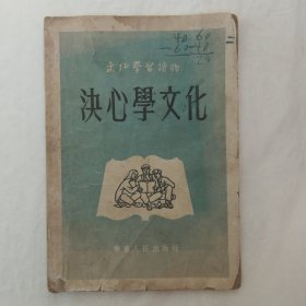 决心学文化