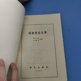 猪的消化生理